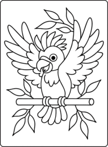 Cute Birds